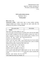 Paraugs 'BISP vizuālās mākslas metodika Patstāvīgais  darbs II “Krāsu pasaka”', 1.