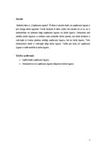 Referāts 'Uzņēmuma līgums', 3.