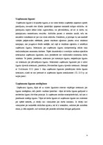 Referāts 'Uzņēmuma līgums', 4.