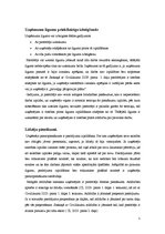 Referāts 'Uzņēmuma līgums', 5.