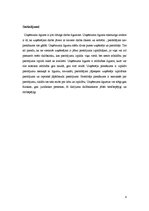 Referāts 'Uzņēmuma līgums', 8.