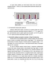 Referāts 'Bezdarbs Latvijā 2007.gadā, tā struktūra un dinamika', 19.
