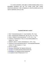 Referāts 'Bezdarbs Latvijā 2007.gadā, tā struktūra un dinamika', 29.