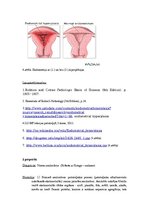 Konspekts 'Kļūdu labojums patoloģijā', 5.