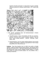 Konspekts 'Kļūdu labojums patoloģijā', 6.