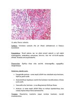 Konspekts 'Kļūdu labojums patoloģijā', 10.