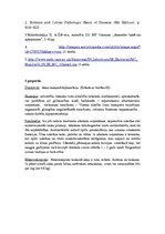 Konspekts 'Kļūdu labojums patoloģijā', 14.