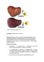 Konspekts 'Kļūdu labojums patoloģijā', 16.