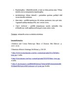 Konspekts 'Kļūdu labojums patoloģijā', 17.