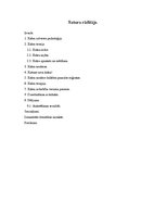 Referāts 'Krāsas', 1.