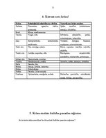 Referāts 'Krāsas', 11.