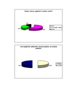 Referāts 'Krāsas', 26.