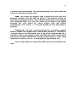 Referāts 'Uzņēmuma AS "Gutta" mārketinga vides un stratēģijas analīze un darbības plānošan', 30.