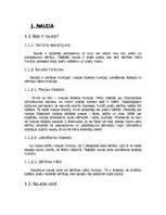 Konspekts 'Eiro', 1.