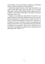 Referāts 'Makss Vēbers. Ētika un politika', 9.