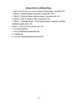 Referāts 'Makss Vēbers. Ētika un politika', 13.