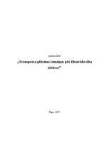Referāts 'Transporta plūsmas izmaiņas pēc Dienvidu tilta izbūves', 1.