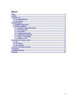 Referāts 'Transporta plūsmas izmaiņas pēc Dienvidu tilta izbūves', 2.