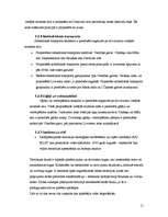 Referāts 'Transporta plūsmas izmaiņas pēc Dienvidu tilta izbūves', 11.