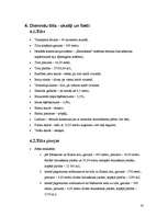 Referāts 'Transporta plūsmas izmaiņas pēc Dienvidu tilta izbūves', 14.