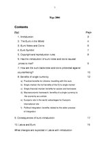 Referāts 'European Single Currency - Euro', 2.