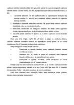 Referāts 'Uzņēmuma "X" finanšu rādītāju analīze', 4.