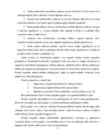 Referāts 'Komercbanku loma ekonomikā', 5.