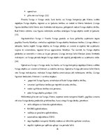 Referāts 'Komercbanku loma ekonomikā', 18.