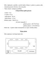 Referāts 'Tematiskais bankets', 6.
