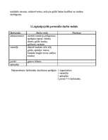 Referāts 'Tematiskais bankets', 12.