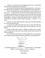 Referāts 'Zivis', 5.