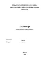 Referāts 'E-komercija', 1.
