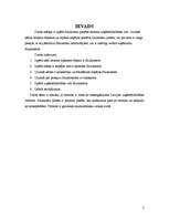 Referāts 'Saulkrastu tūrisma uzņēmējdarbības pamatojums', 2.