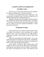 Referāts 'Saulkrastu tūrisma uzņēmējdarbības pamatojums', 7.