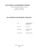 Prakses atskaite 'Automehāniķa kvalifikācijas prakses atskaite', 1.