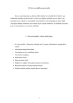 Prakses atskaite 'Automehāniķa kvalifikācijas prakses atskaite', 5.