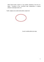 Referāts 'Liepājas ezera ūdens kvalitāte un piesārņojuma riski saistībā ar a/s "Liepājas M', 11.