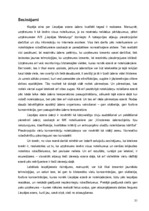 Referāts 'Liepājas ezera ūdens kvalitāte un piesārņojuma riski saistībā ar a/s "Liepājas M', 31.