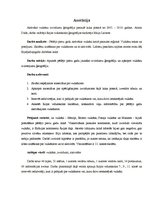 Referāts 'Aktīvāko vulkānu izvirdumu ģeogrāfija pasaulē laika posmā no 2005.-2010.gadam', 3.