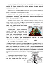 Referāts 'Aktīvāko vulkānu izvirdumu ģeogrāfija pasaulē laika posmā no 2005.-2010.gadam', 9.