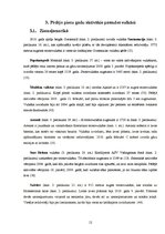 Referāts 'Aktīvāko vulkānu izvirdumu ģeogrāfija pasaulē laika posmā no 2005.-2010.gadam', 12.