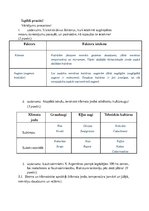 Paraugs 'Lauksaimniecības preču plūsmas', 1.