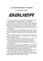 Konspekts 'Uzņēmuma "Bauer" hokeja nūju tirgus izpēte', 7.