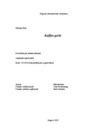 Referāts 'Galdnieka diplomdarbs', 1.