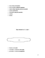 Referāts 'Galdnieka diplomdarbs', 10.