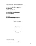 Referāts 'Galdnieka diplomdarbs', 11.