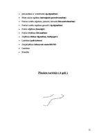 Referāts 'Galdnieka diplomdarbs', 12.