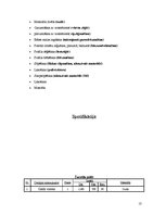 Referāts 'Galdnieka diplomdarbs', 13.
