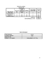 Referāts 'Galdnieka diplomdarbs', 17.