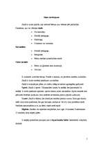 Konspekts 'Veselību veicinošs modelis', 2.